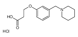 110925-95-6 structure