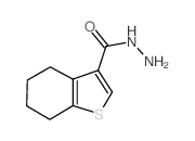 4,5,6,7-Tetrahydro-1-benzothiophene-3-carbohydrazide picture