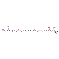 Chloroacetamido-PEG4-C2-Boc Structure