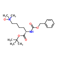 N6,N6-二甲基-N2-[(苄氧基)羰基]-L-赖氨酸叔丁基酯N6-氧化物图片