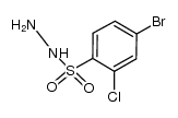 4-bromo-2-chlorobenzenesulfonohydrazide Structure