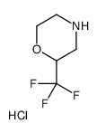 2-Trifluoromethyl-morpholine hydrochloride structure