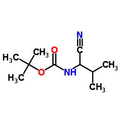 Tert-Butyl N-(1-Cyano-2-Methylpropyl)Carbamate picture