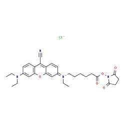 NIR-667 N-SUCCINIMIDYL ESTER Structure