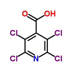 2,3,5,6-四氯异烟酸图片