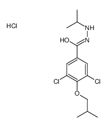 3,5-dichloro-4-(2-methylpropoxy)-N'-propan-2-ylbenzohydrazide,hydrochloride Structure