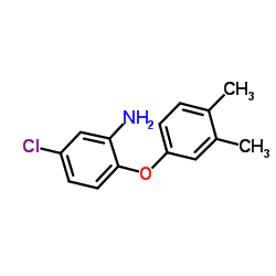 5-Chloro-2-(3,4-dimethylphenoxy)aniline结构式