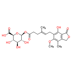 Mycophenolic Acid Acyl-β-D-glucuronide Structure