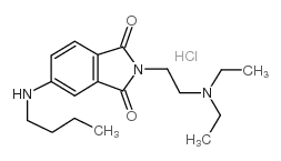 4-Butylamino-N-(2-(diethylamino)ethyl)phthalimide hydrochloride结构式