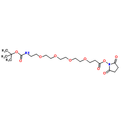 Boc-NH-PEG4-NHS ester结构式