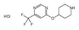 4-piperidin-4-yloxy-6-(trifluoromethyl)pyrimidine,hydrochloride结构式