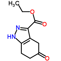 Ethyl 5-oxo-4,5,6,7-tetrahydro-1H-indazole-3-carboxylate结构式