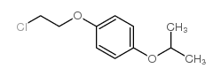 1-(2-chloroethoxy)-4-propan-2-yloxybenzene图片