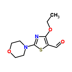 919016-55-0 structure