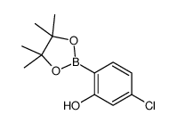 5-chloro-2-(4,4,5,5-tetramethyl-1,3,2-dioxaborolan-2-yl)phenol structure