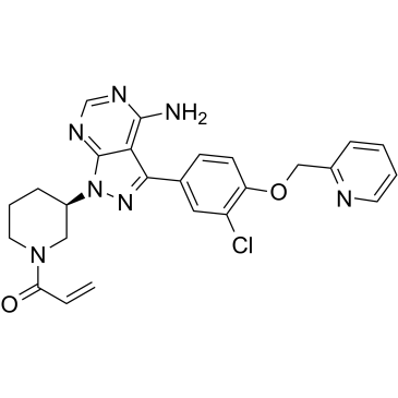 CHMFL-EGFR-202 picture