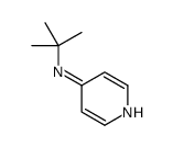 4-Pyridinamine,N-(1,1-dimethylethyl)-(9CI)结构式