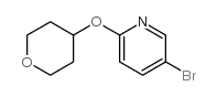 494772-07-5 structure