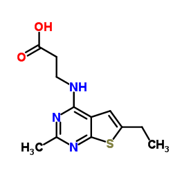 3-(6-ETHYL-2-METHYL-THIENO[2,3-D]PYRIMIDIN-4-YLAMINO)-PROPIONIC ACID Structure