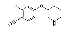 2-氯-4-(-3-哌啶氧基)苯甲腈图片