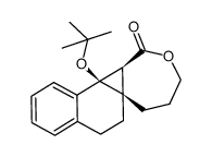 1-tert-Butoxy-4-oxabenzotricyclo<6.4.0.02,8>dodecan-3-on Structure