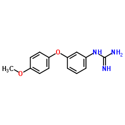 1-(3-(4-Methoxyphenoxy)phenyl)guanidine structure