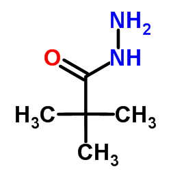 Pivalic acid, hydrazide Structure