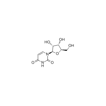 Uridine Structure