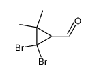 2,2-dibromo-3,3-dimethylcyclopropanecarboxaldehyde Structure