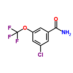 3-Chloro-5-(trifluoromethoxy)benzamide图片