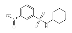 Benzenesulfonamide,N-cyclohexyl-3-nitro- picture