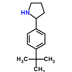 2-(4-tert-butylphenyl)pyrrolidine结构式