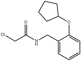 2-chloro-N-{[2-(cyclopentyloxy)phenyl]methyl}acetamide Structure