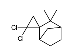 2',2'-dichloro-3,3-dimethylspiro[bicyclo[2.2.1]heptane-2,1'-cyclopropane] picture