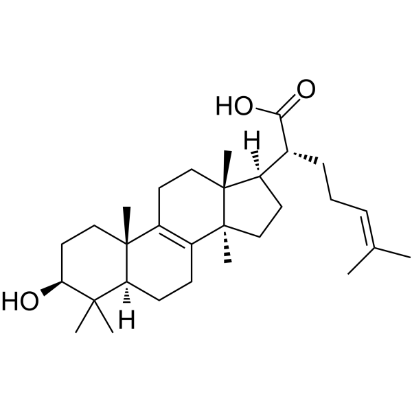 Trametenolic acid structure