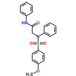 339013-40-0结构式