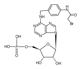 N6-[4-(2-bromo-acetylamino)-benzyl]-[5']adenylic acid结构式