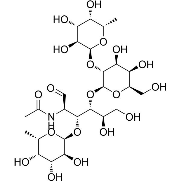 Lewis y tetrasaccharide picture