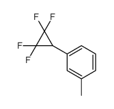 1-methyl-3-(2,2,3,3-tetrafluorocyclopropyl)benzene Structure