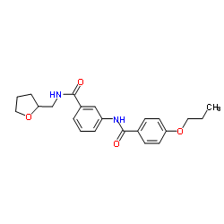 3-[(4-Propoxybenzoyl)amino]-N-(tetrahydro-2-furanylmethyl)benzamide结构式