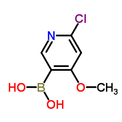 B-(6-氯-4-甲氧基-3-吡啶基)-硼酸图片