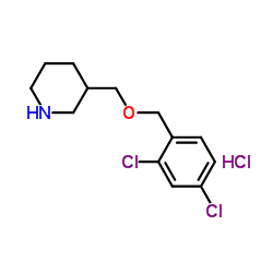 3-{[(2,4-Dichlorobenzyl)oxy]methyl}piperidine hydrochloride (1:1) picture