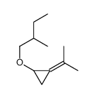 1-(2-Methylbutyloxy)-2-(1-methylethylidene)cyclopropane Structure