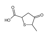 2-Thiophenecarboxylicacid,tetrahydro-5-methyl-4-oxo-(7CI,9CI) picture