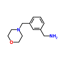 [3-(吗啉甲基)苯基]甲胺结构式