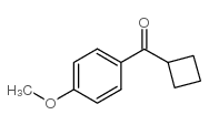 100121-80-0 structure