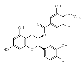 (-)-ecg-4''-o-me Structure