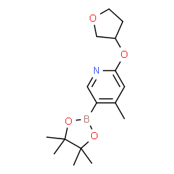 4-Methyl-2-((tetrahydrofuran-3-yl)oxy)-5-(4,4,5,5-tetramethyl-1,3,2-dioxaborolan-2-yl)pyridine picture