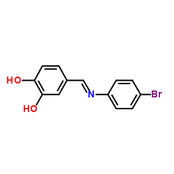 304456-10-8 structure