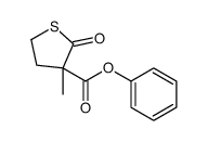 phenyl 3-methyl-2-oxothiolane-3-carboxylate Structure